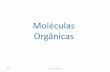 Moléculas Orgânicas