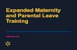 Expanded Maternity and Parental Leave Training