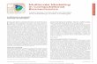 Multiscale Modeling in Computational Biomechanics