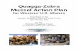 Quagga-Zebra Mussel Action Plan - ANS Task Force