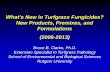 What's New in Turfgrass Fungicides? New Products, Premixes, and