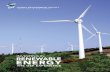 InvestIng In Renewable eneRgy - In Depth | Global Environment Facility