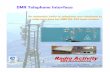DMR Telephone Interface - Radio Activity Srl - DIGITAL MOBILE
