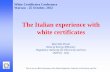 The Italian experience with white certificates