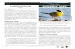 SAguAro Landbird Monitoring resource brief