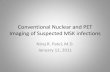 Conventional Nuclear and PET Imaging of Suspected MSK infections