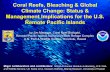 Coral Reefs, Bleaching & Global Climate Change: Status