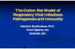 The Cotton Rat Model of Respiratory Viral Infections Pathogenesis