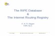 The RIPE Database The Internet Routing Registry