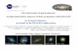 The elaboration of spiral galaxies: morpho-kinematics analyses of