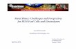 Metal Plates: Challenges and Perspectives for PEM Fuel Cells and