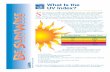 What is the UV Index?