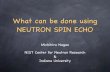 What can be done using NEUTRON SPIN ECHO