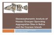 Geomorphometric Analysis of Nassau Grouper Spawning Aggregation