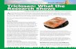 Fact Sheet Triclosan: What the Research Shows