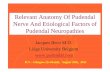 Relevant anatomy of pudendal nerve and etiological factors of