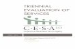 Triennial Evaluation of Services