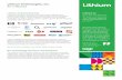 Lithium Technologies, Inc. At-a-Glance