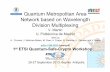 Quantum Metropolitan Area Network based on Wavelength Division
