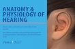 ANATOMY & PHYSIOLOGY OF HEARING - Visible Body
