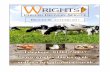 DAILY CHILLED DELIVERIES - Wrights Dairies