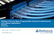 40Gbps+ Full Line Rate, Programmable Network Accelerators for Low