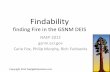 Findability â€“ Fire & GSNM