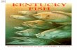 Kentucky Fish IDbook