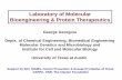 Laboratory of Molecular Bioengineering & Protein Therapeutics
