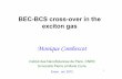 BEC-BCS cross-over in the exciton gas - Ricardo Mendes Ribeiro
