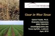 Guar in West Texas - Texas A&M AgriLife Research & Extension
