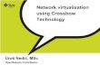 Network virtualisation using Crossbow Technology