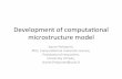 Development of computaonal microstructure model