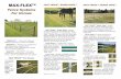 Fence Systems For Horses - MaxFlex