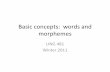 Basic concepts: words and morphemes