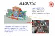ALICE/ZDC - Agenda (Indico)