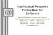 Intellectual Property Protection for Software