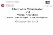 Information Visualization and Visual Analytics roles