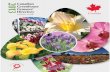 Canadian Greenhouse Growers â€™ Directory - Flowers Canada