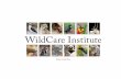 WildCare Institute