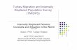 Turkey Migration and Internally Displaced Population Survey