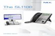 The SL1100 - Business phone system, equipment replacement