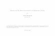 Essays on the Macroeconomics of Monetary Union