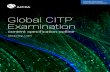 Global CITP Examination - AICPA