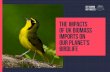 The Impacts of UK Biomass Imports on Our Planet’s Birdlife