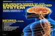 THE HE LING PO ENDOCANNABINOID SYSTEM