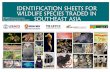 IDENTIFICATION SHEETS FOR WILDLIFE SPECIES TRADED IN …