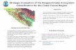 Strategic Evaluation of the Biogeoclimatic Ecosystem ...