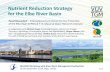 Nutrient Reduction Strategy for the Elbe River Basin