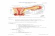 Tubal disease and infertility jpg